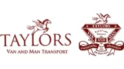 Small Van and Man